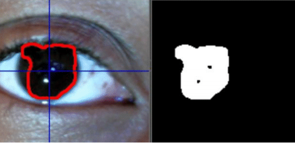 Eye-Tracking AAC System